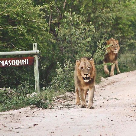 Masodini Game Lodge Hoedspruit Kültér fotó