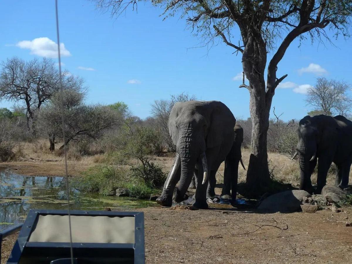 Masodini Game Lodge Hoedspruit Kültér fotó