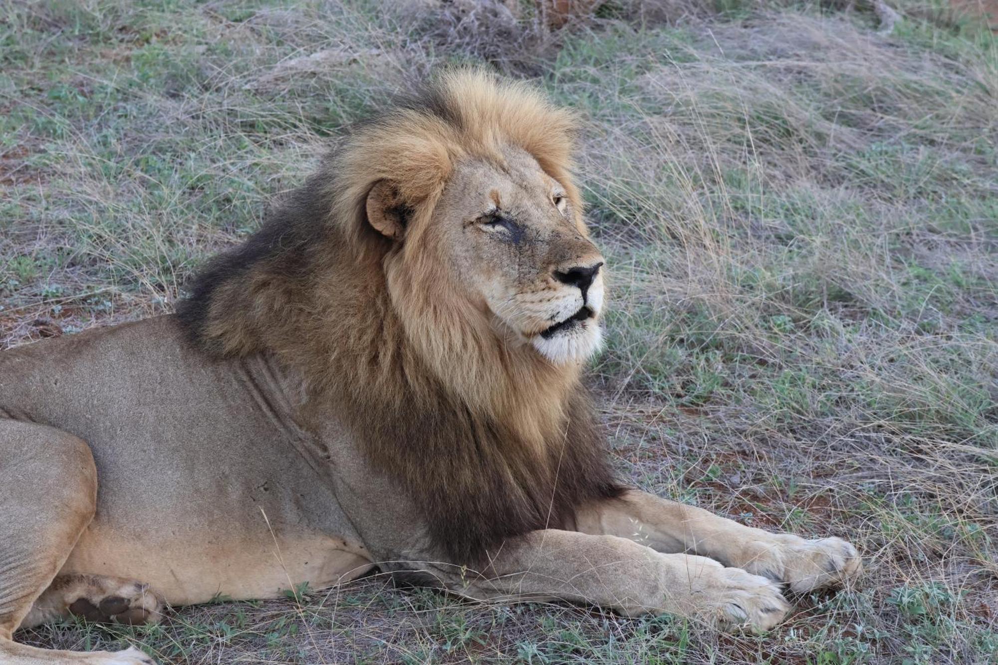 Masodini Game Lodge Hoedspruit Kültér fotó